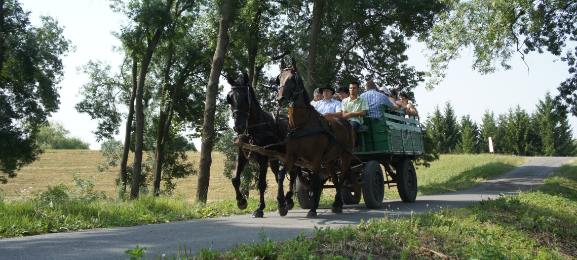 Lovasjárat Póstelekre