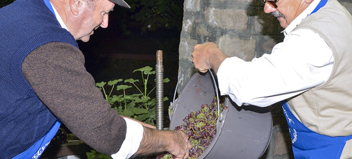 Németvárosi szüret és szüreti sváb bál