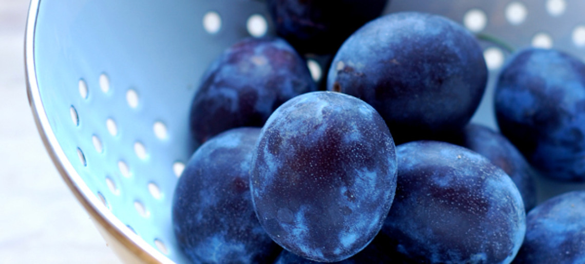 Németvárosi szilvalekvárfőzés és Szilvalekváros sütemények versenye