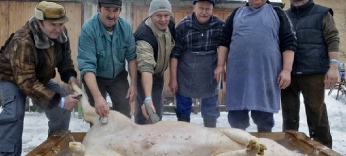 Németvárosi disznótor és maszkázás