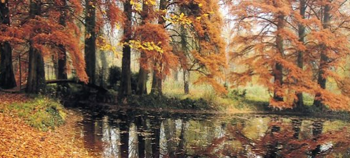 Szigetköztől Stendörrenig - fotókiállítás