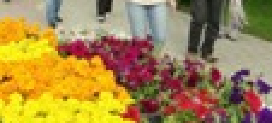 Gyulai Virágok Vasárnapja