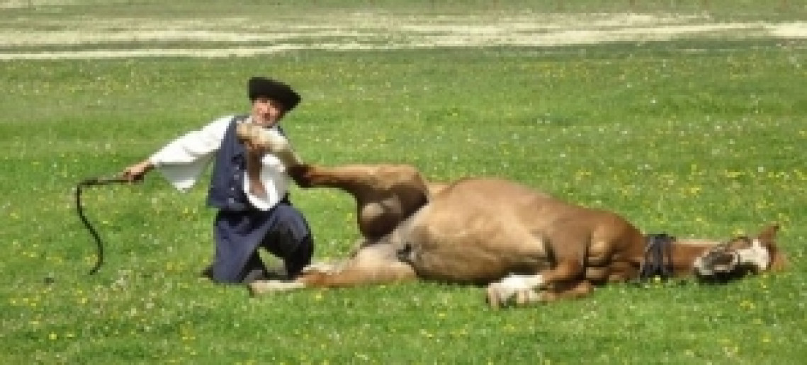 Családi Majális a Steigervald Tanyán