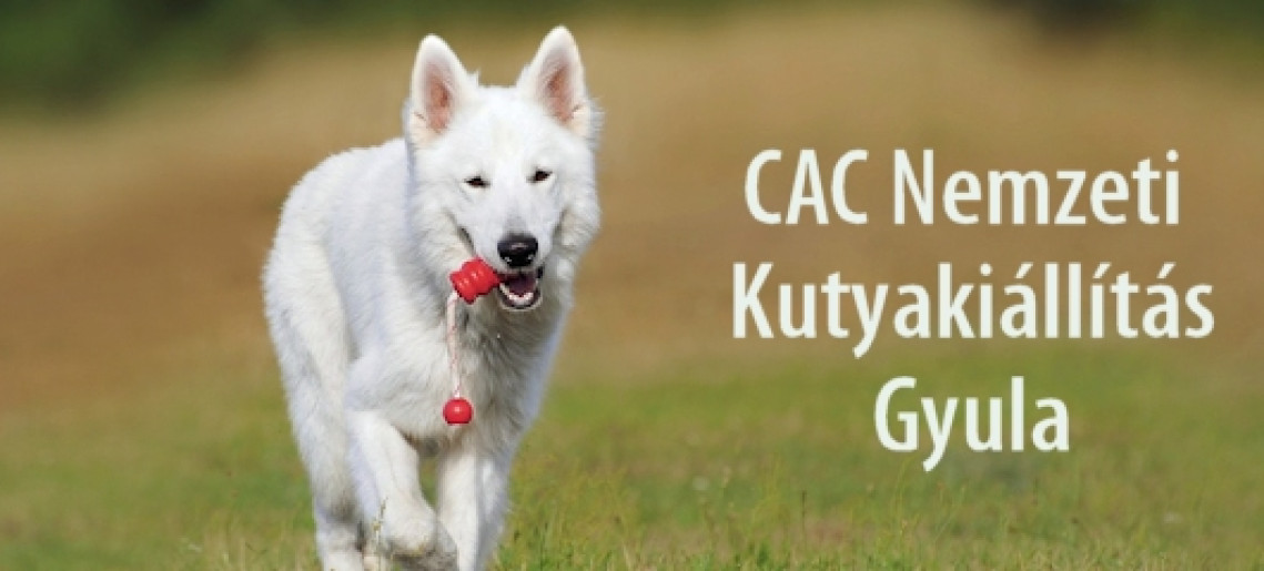 CAC Nemzeti Kutyakiállítás