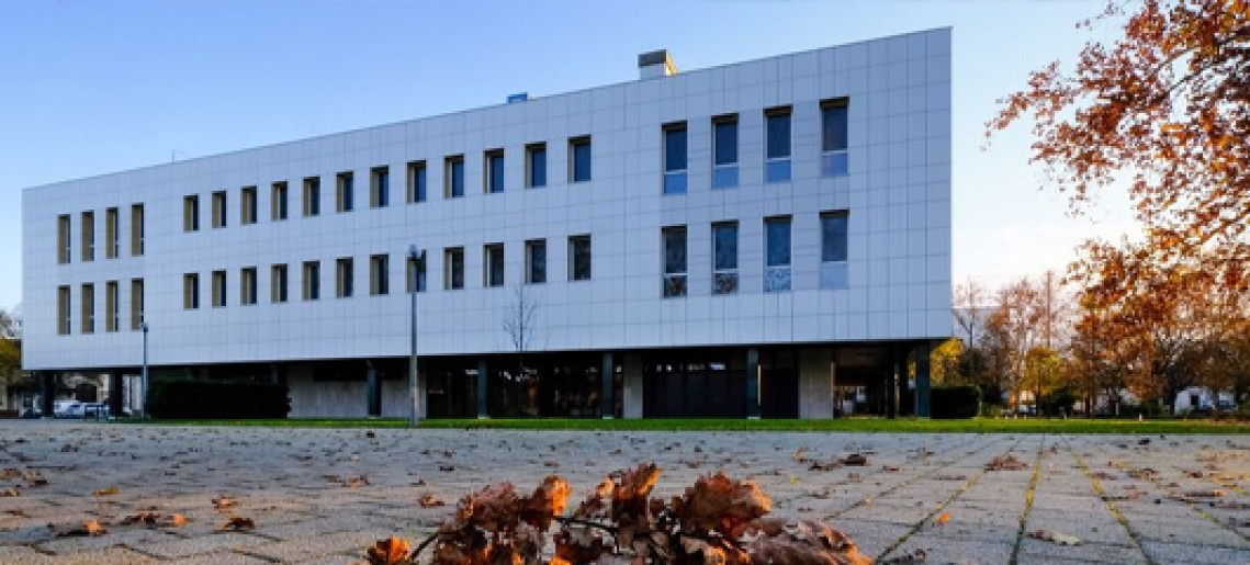 Kepenyes Pál zenész, zenetanár ad rövid zenés műsort