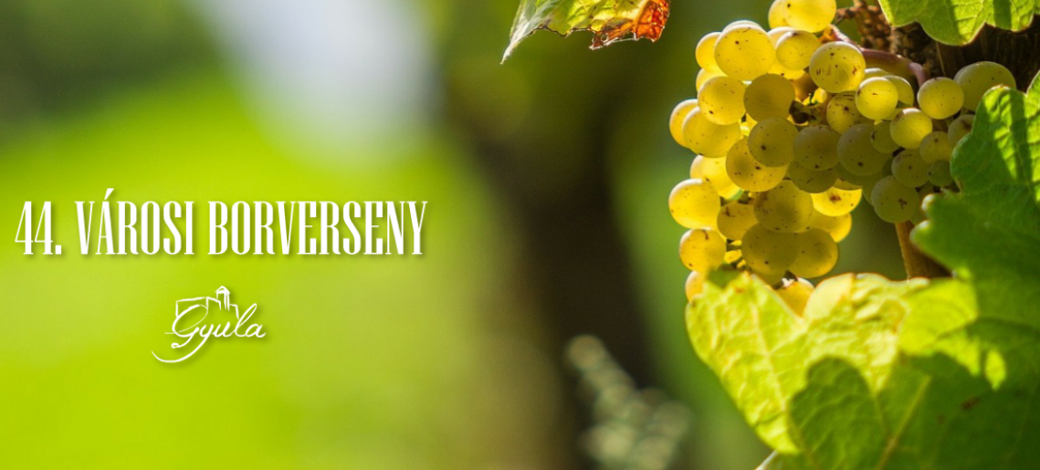 44. Városi borverseny
