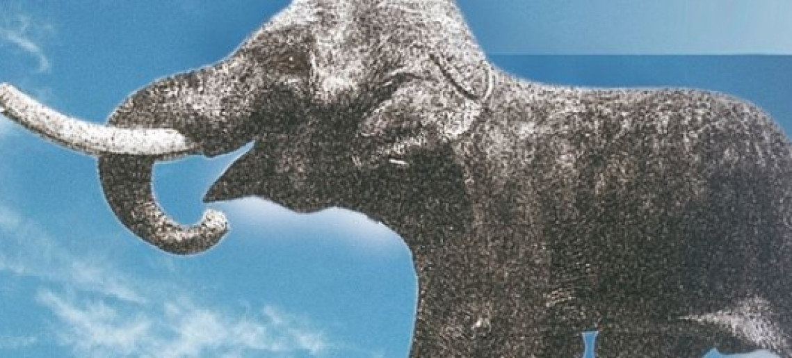 A repülő elefánt - könyvbemutató