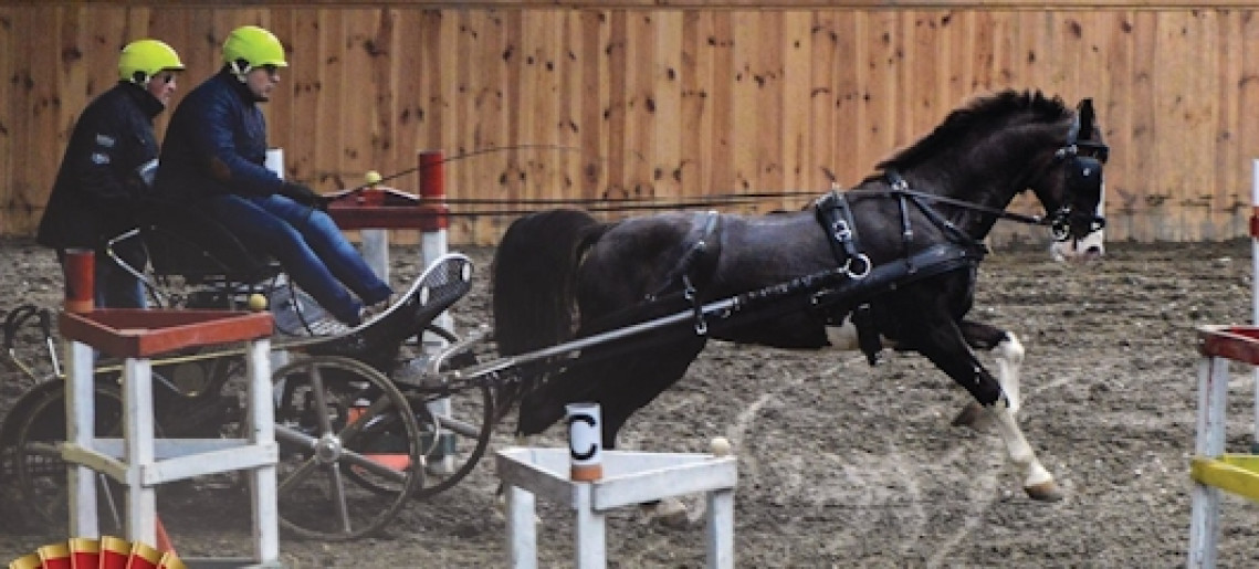 Magyar Fedeles Fogathajtó Bajnokság