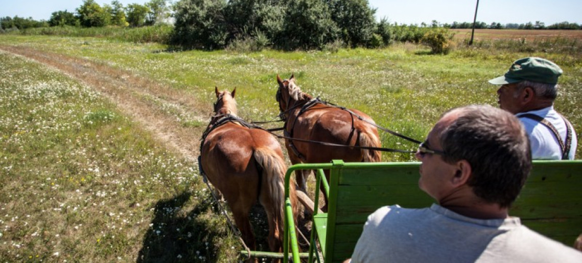 Lovasjárat Póstelekre