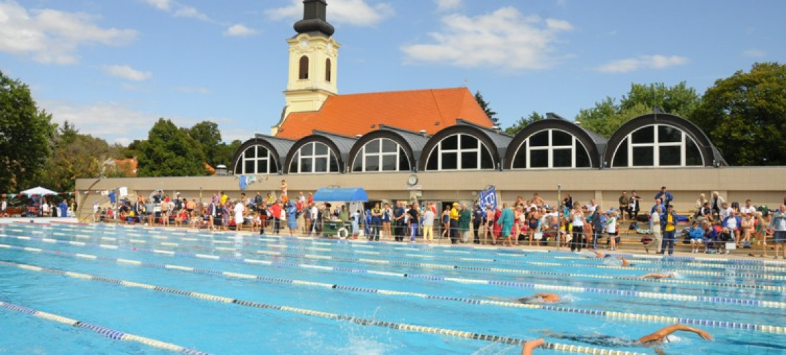 VII. Várfürdő masters úszóverseny