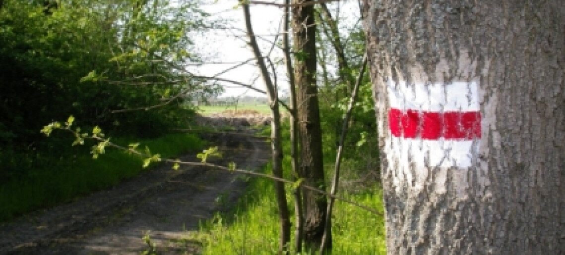 Mályvád teljesítménytúra