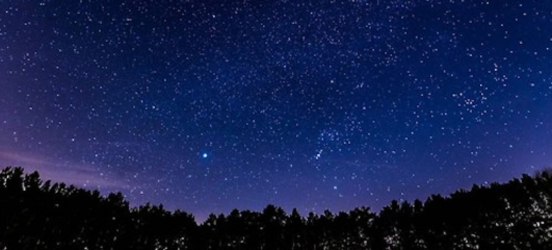 Szent Iván-éj az erdőn