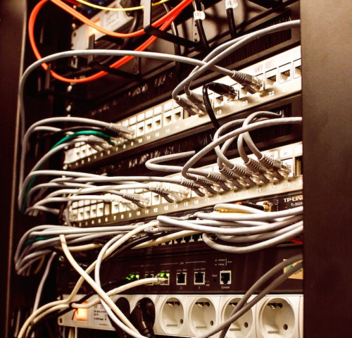 Az Almásy-kastély agya