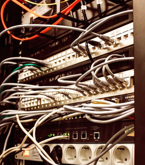 Az Almásy-kastély agya