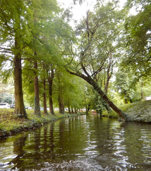 Az Élővíz-csatorna ötven árnyalata