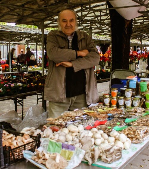 Az örökifjú gombaszakértő