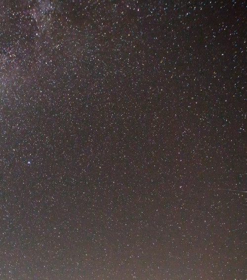 Csillagok a kertemben