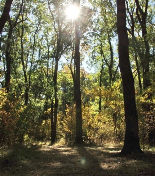 A rókaprémes sapka kerülendő