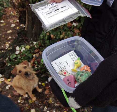 Ládarejtés a Csigakertben