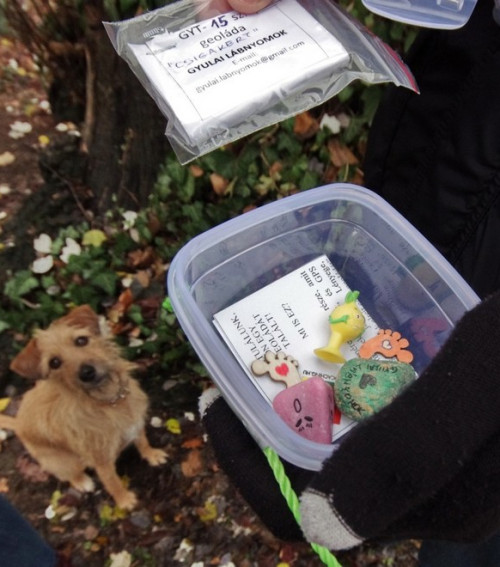 Ládarejtés a Csigakertben