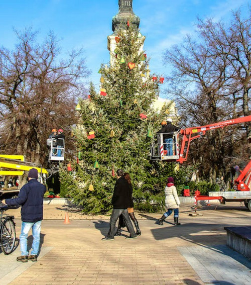 A város karácsonyfája