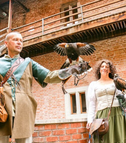 Solymászbemutató a várban