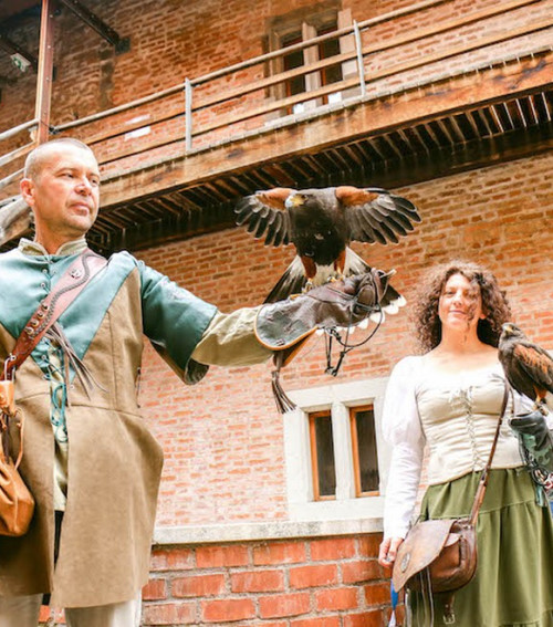 Solymászbemutató a várban