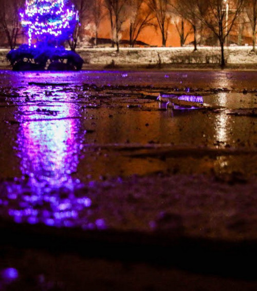 (Cs)úszó karácsonyfa