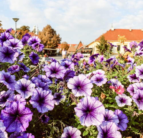 Gyula az év települése