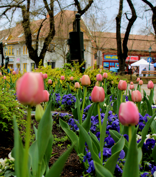 Húsvéti és tavaszi szüneti nyitvatartások városszerte