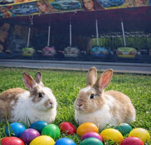 Húsvéti vidámpark a Várkertben