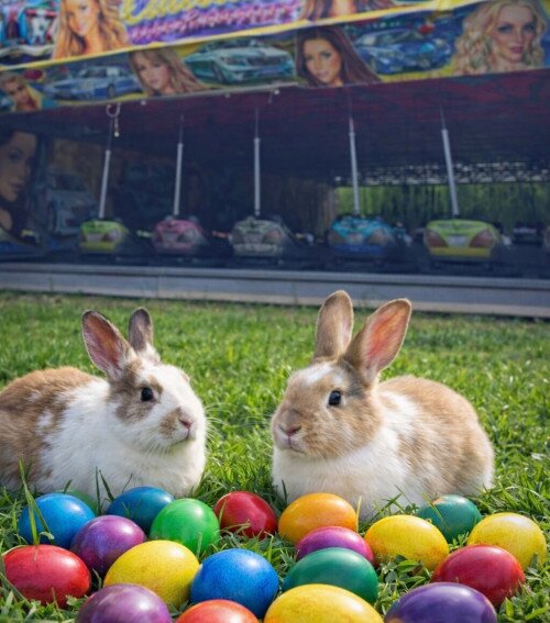 Húsvéti vidámpark a Várkertben