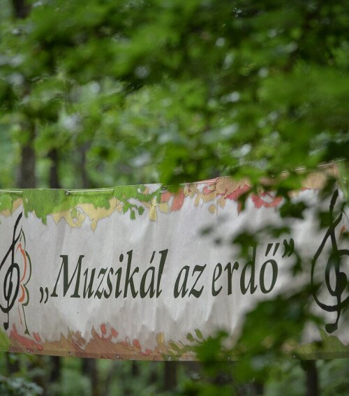 Idén is muzsikál az erdő a Körösök völgyében