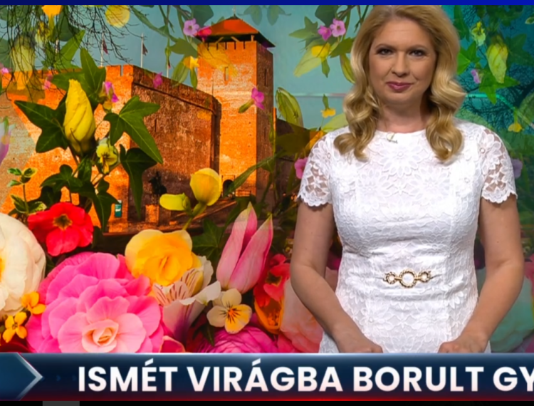 Ismét virágba borult Gyula
