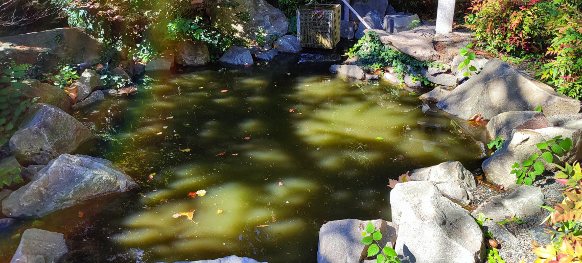 Japanese Garden