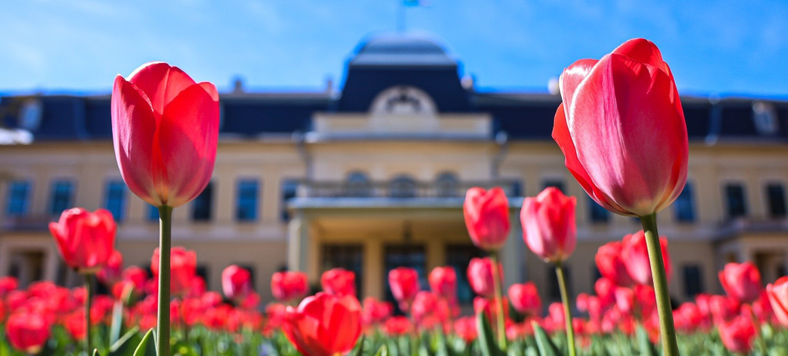 Kastélyműködtetés a XXI. században: Tíz év egy vidéki kastély életében - szakmai konferencia