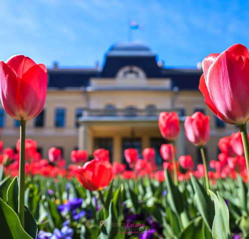 Kastélyműködtetés a XXI. században: Tíz év egy vidéki kastély életében - szakmai konferencia