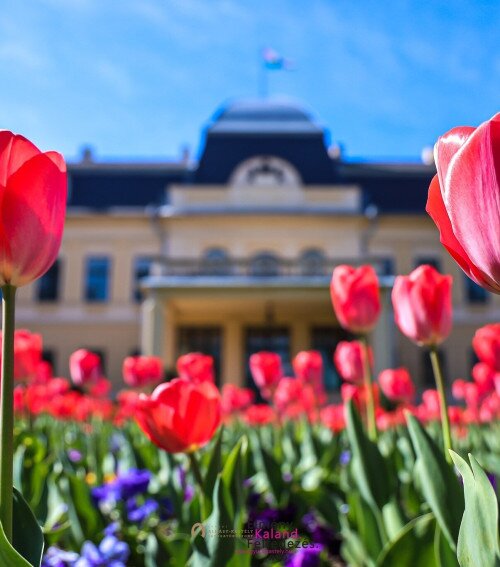 Kastélyműködtetés a XXI. században: Tíz év egy vidéki kastély életében - szakmai konferencia