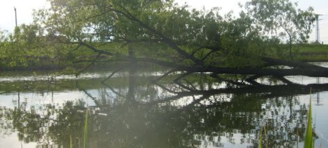 V. Gyereknapi horgászverseny és kavalkád