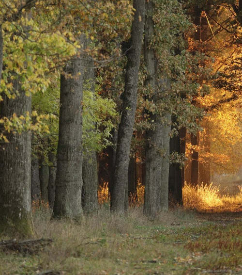 Körös körút - kiskör kerékpáros túra