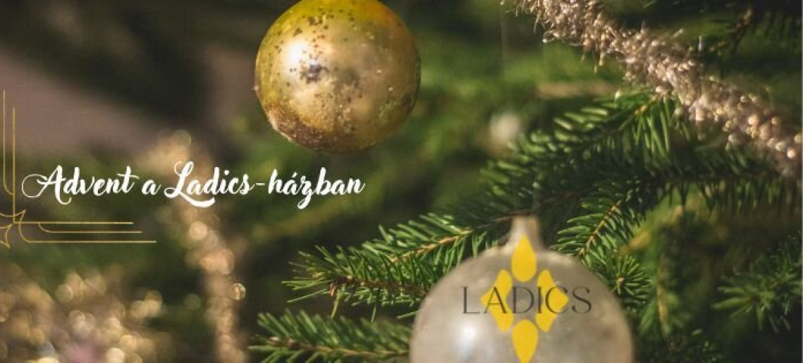 Ladics-ház: Adventi készülődés - karácsonyi sütiforma nyomtatása 3D nyomtatóval