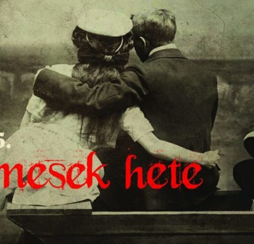 Ladics-ház: Szerelmesek hete