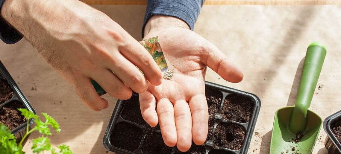 Magbörze és kertészeti szakmai nap