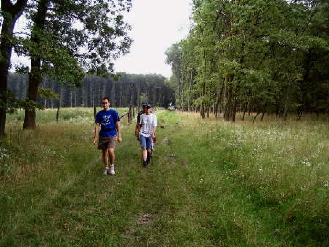 malyvad-teljesitmenytura-01.jpg