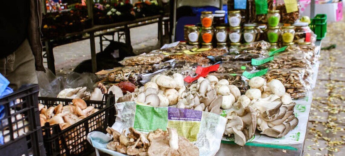 Market of Gyula