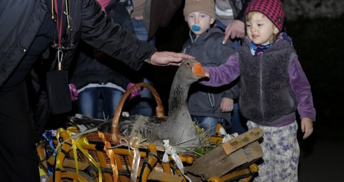 marton-napi-lampionos-felvonulas-nemetvarosi-ovoda-2016.JPG