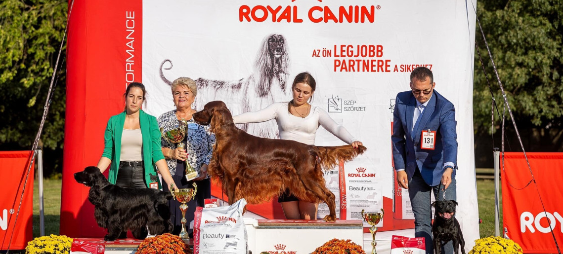 MEOESZ Gyulai Kutyás Klub: Országos CAC Kutyakiállítás