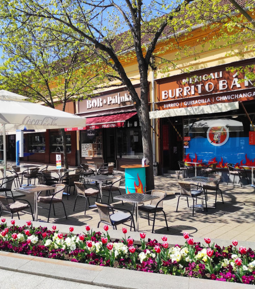 Mexicali Burrito Bar