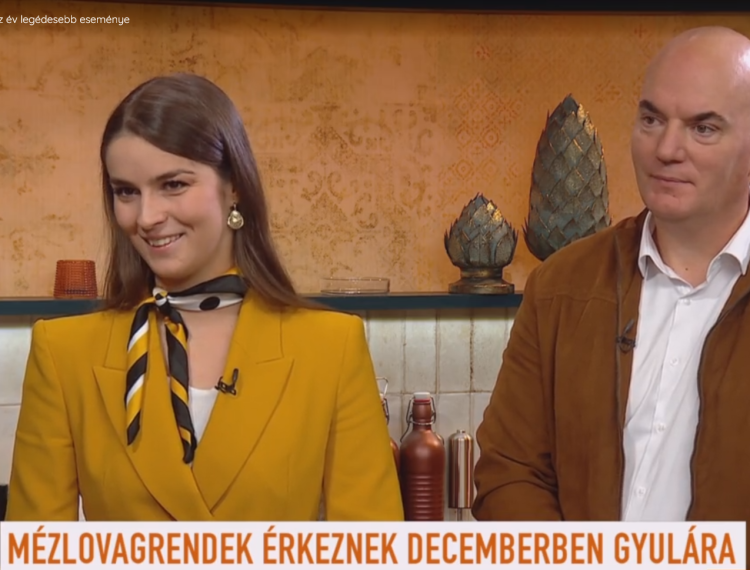 Mézkirálynőt választottak Gyulán: Az év legédesebb eseménye