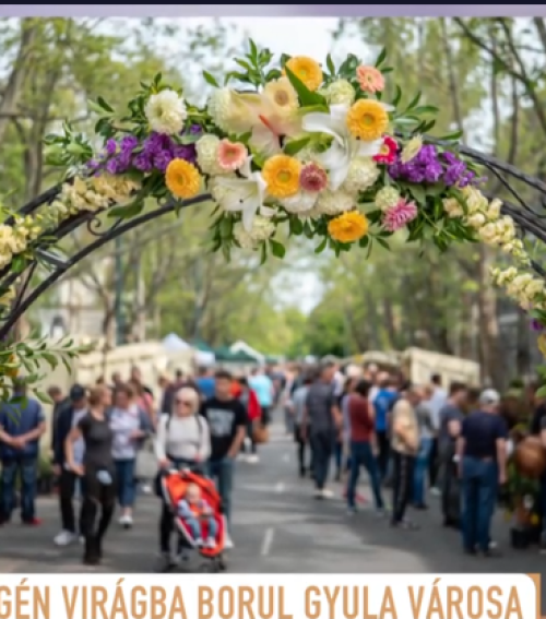 Minden virágba borul: Ismét megrendezik a Gyulai Virágok Fesztiválját